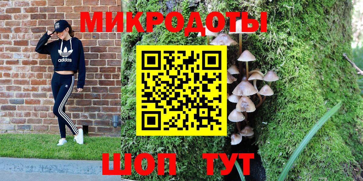 Галлюциногенные грибы Magic Shrooms  Вход с VPN  Псилоцибиновые грибы прущие грибы  Северск 